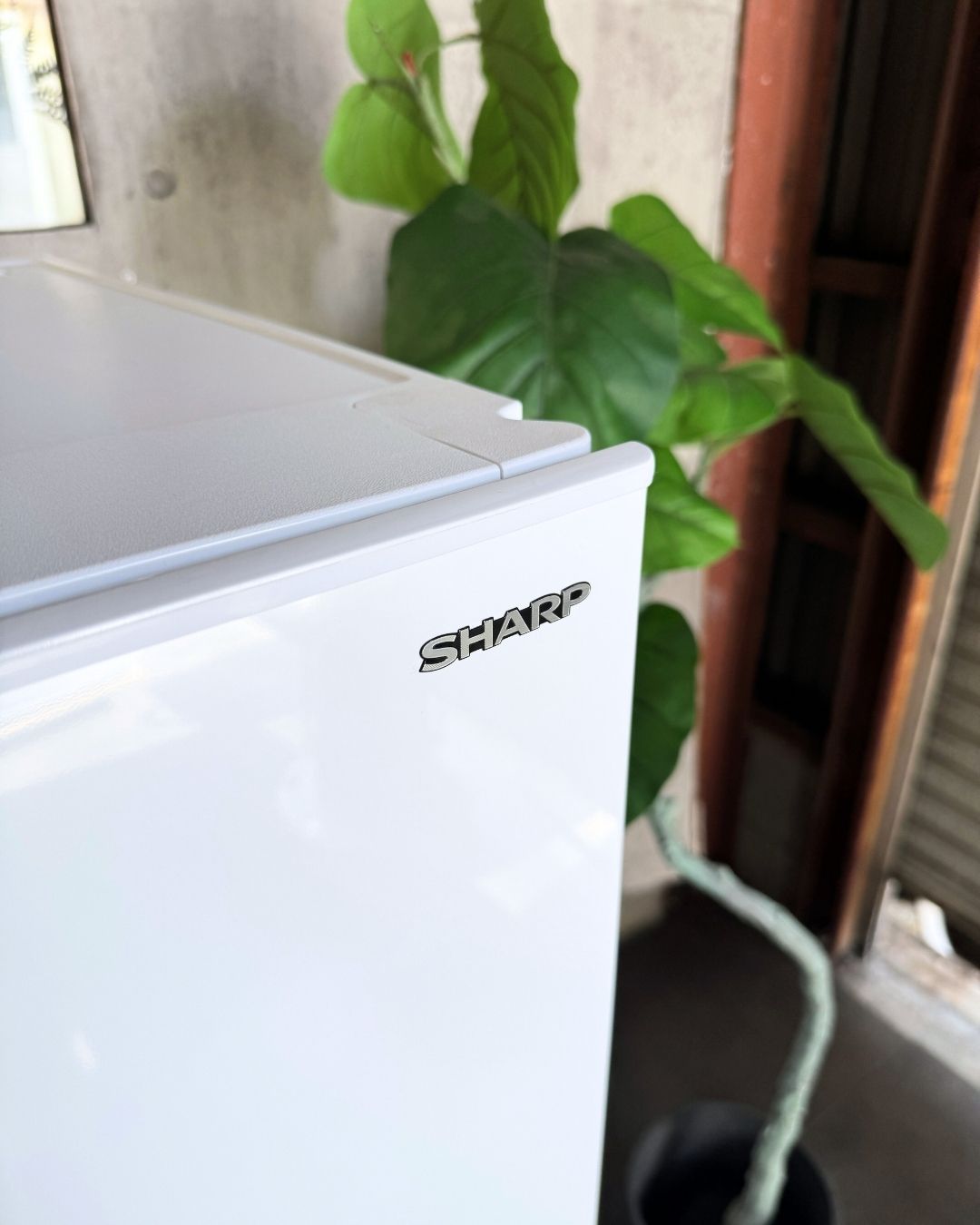 設置まで✨ SHARP 一人暮らし用冷蔵庫 152L✨ 2021年製⭕️ - メルカリ