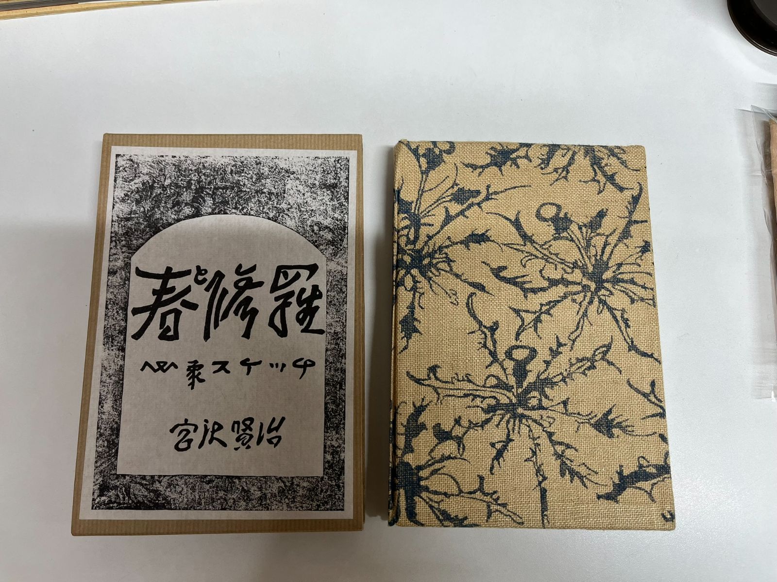 春と修羅 宮沢賢治 精選 名著複刻全集 近代文学館 - メルカリ