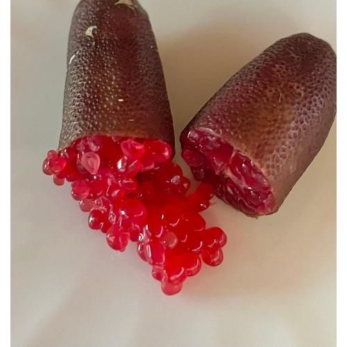 フィンガーライム リトルルビー 5号接木苗 - メルカリ