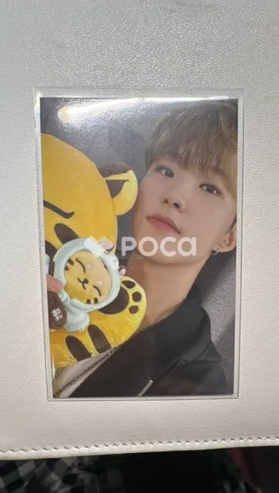 セブチ ホシ Artist-Made Collection by SEVENTEEN Season 2. PLUSH