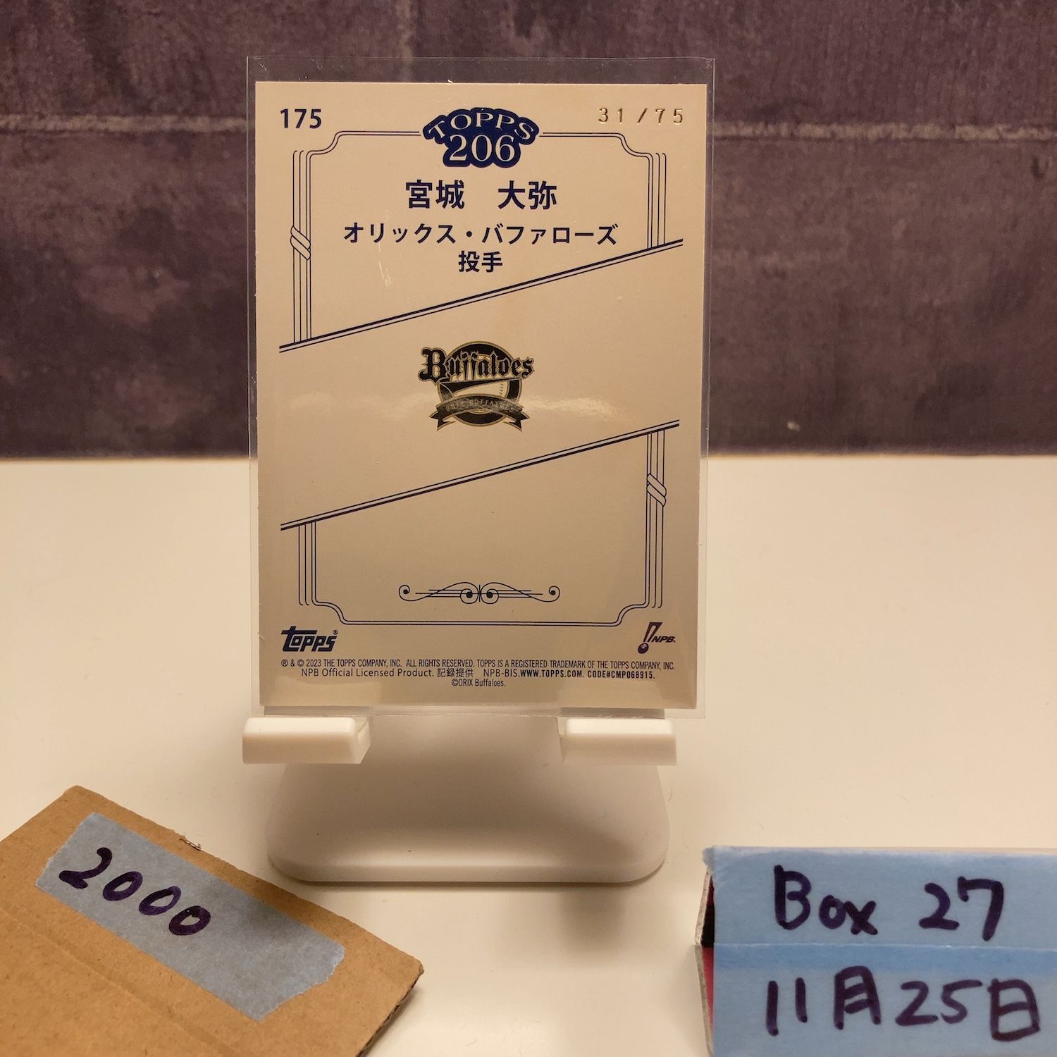 2024 Topps 206 NPB 宮城大弥 Miyagi Daiya 31/75 オリックス