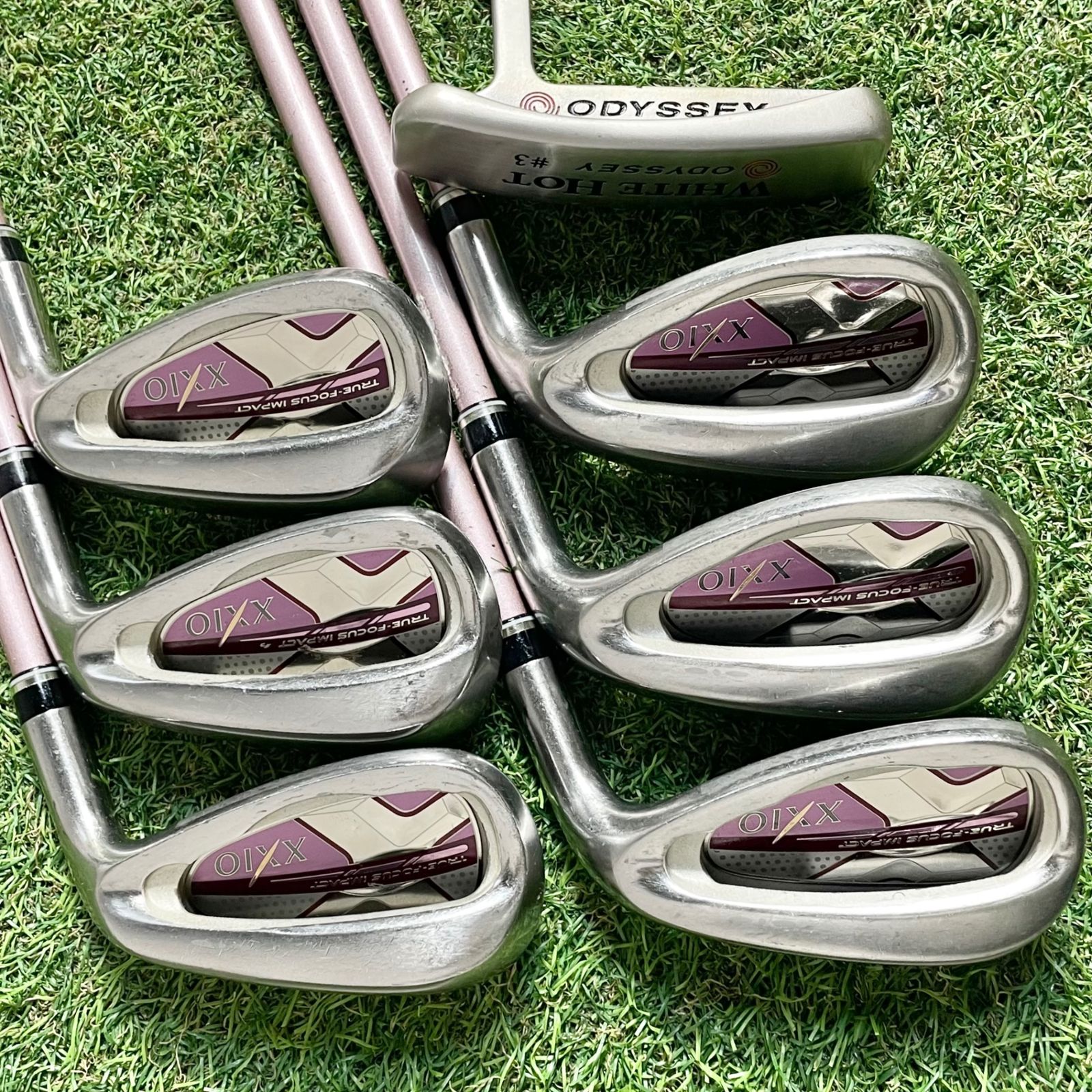 XXIO10 MP1000 オール10代目 希少ボルドーカラー レディース L ゴルフ