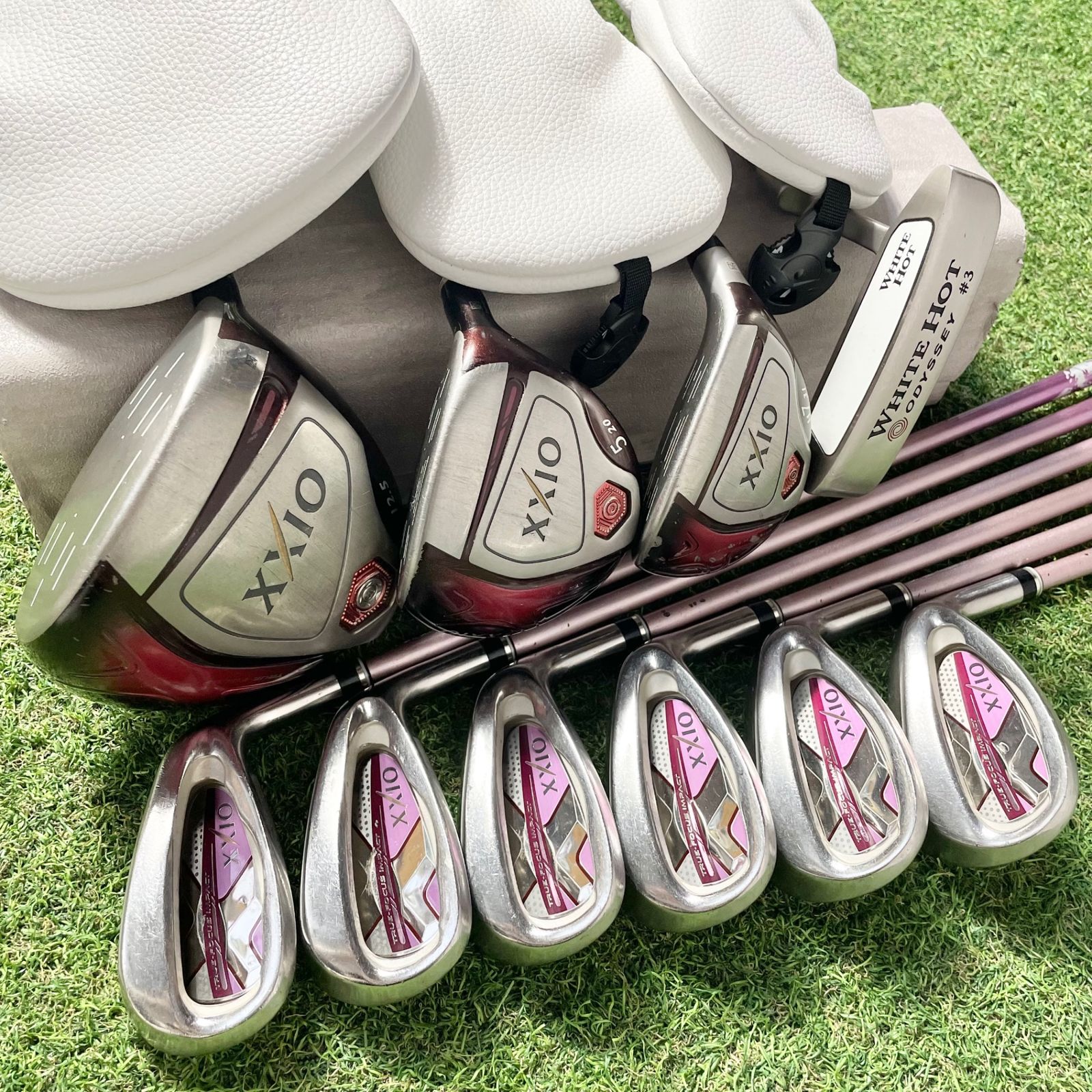 XXIO10 MP1000 オール10代目 希少ボルドーカラー レディース L ゴルフ