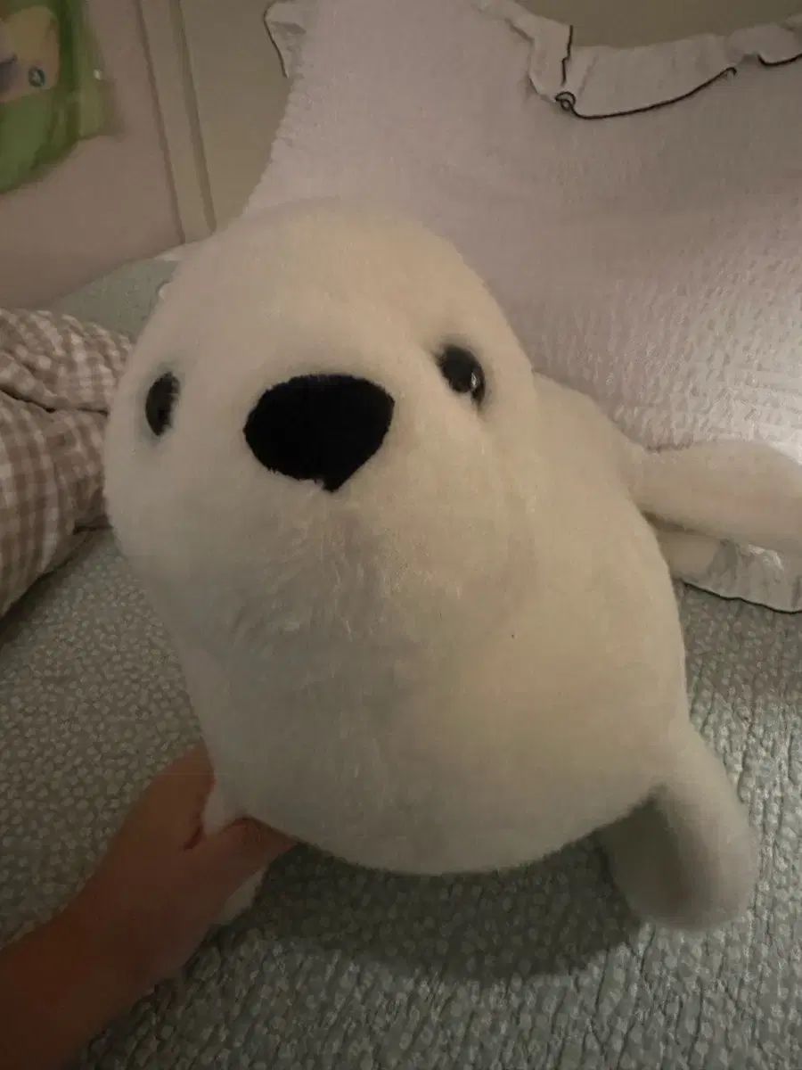 メルカリ便◎ありー様 アザラシのぬいぐるみ - メルカリ