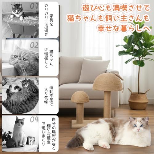 スクラッチボール