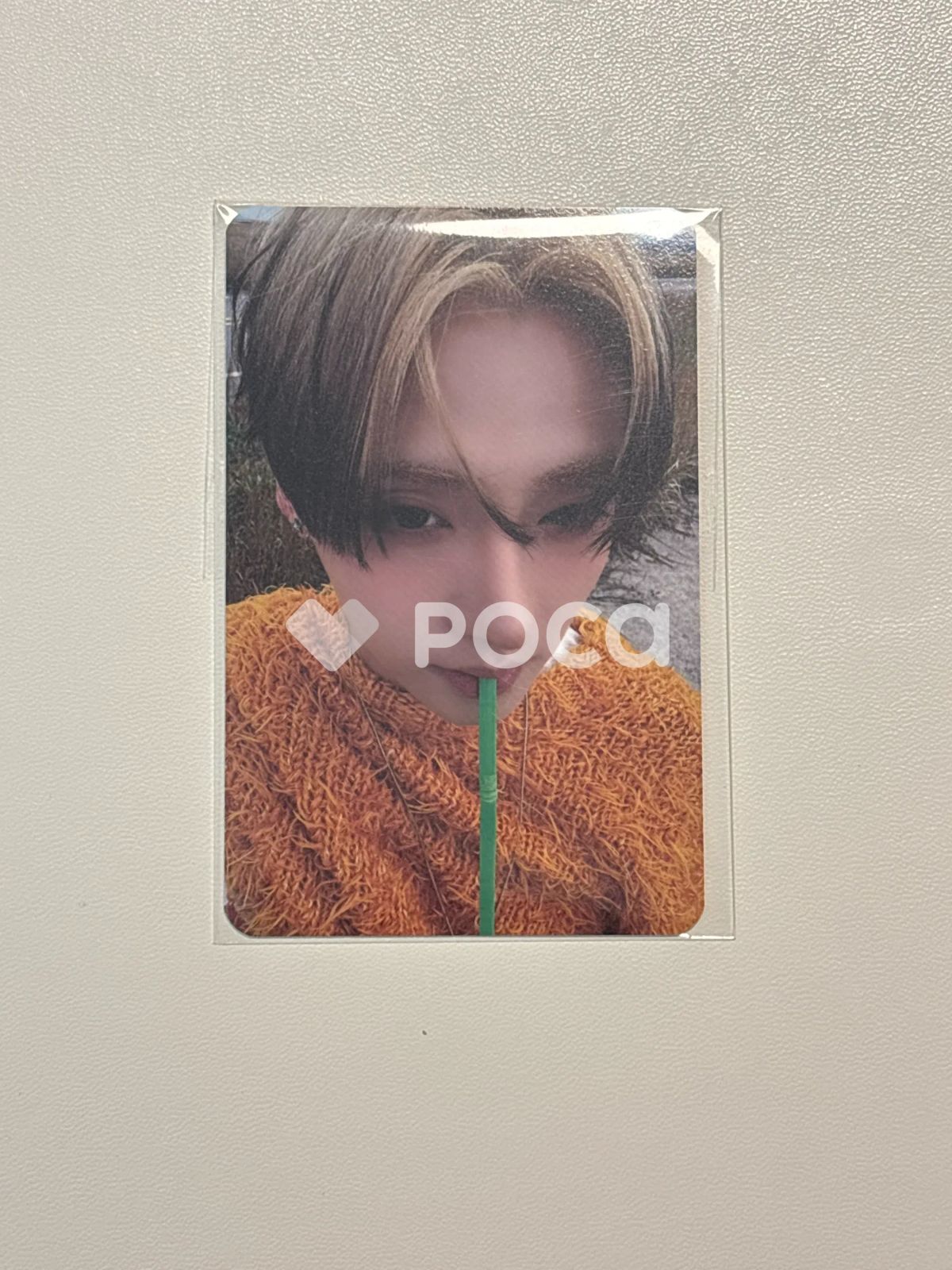 EUPHORIA OLIVE YOUNG