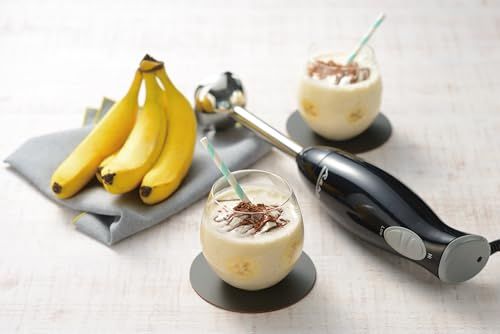 ステンレスハンディブレンダー