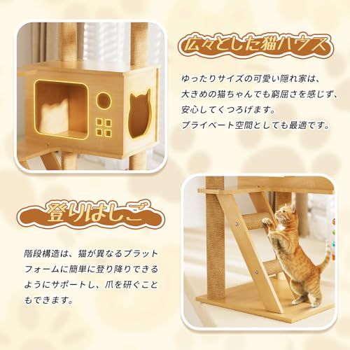 シニア猫 太った猫