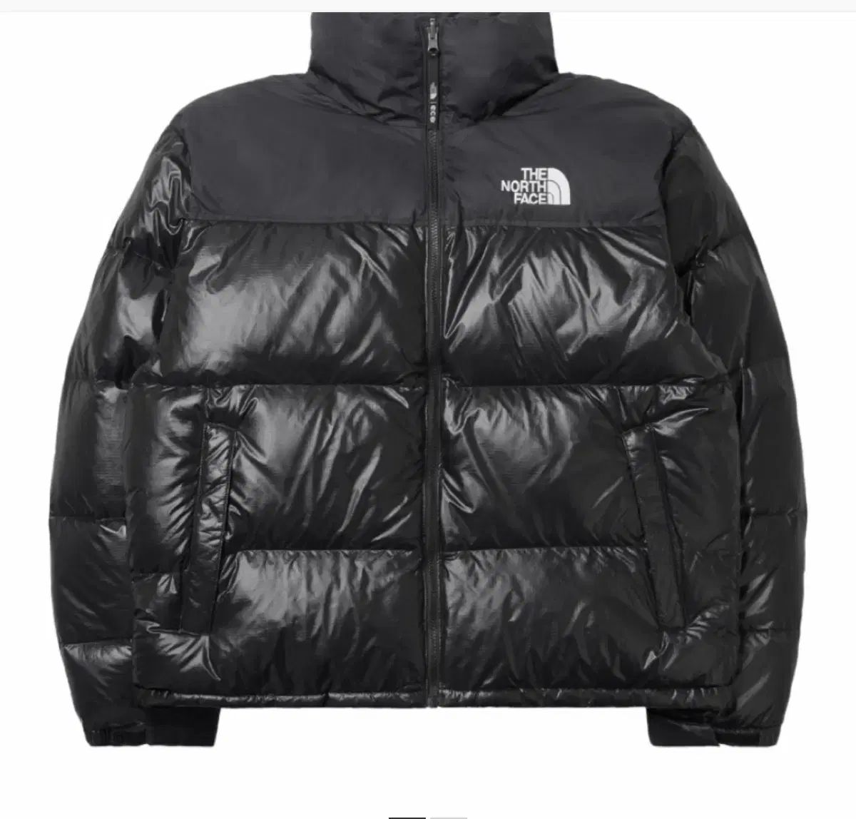 THE NORTH FACE 1996 エコー ヌプシ ジャケット リーアル ブラック