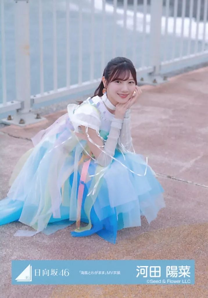 中古】生写真(乃木坂46) 日向坂46/河田陽菜/座り/日向坂46ランダム生