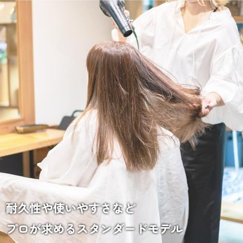 NB 1906 ヘア ドライヤー 1200 W ブラック NOBBY テスコム エレコム 高性能フィルター搭載 理美容専売品 大風量 速乾 158 edd 93