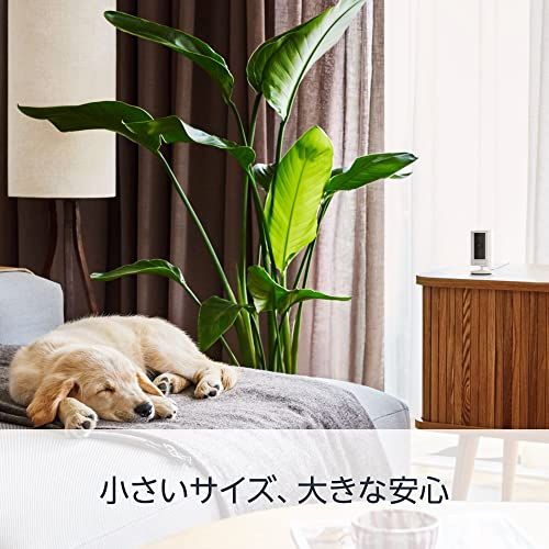 ペットカメラやご自宅の見守りカメラ