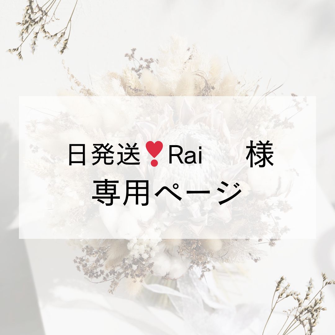 Rai様専用 らいさまのページ✤ らい様専用 ライ様 専用 Rai様 Rai様専用 らいさまのページ✤ らい様専用 ライ様 専用 Rai様