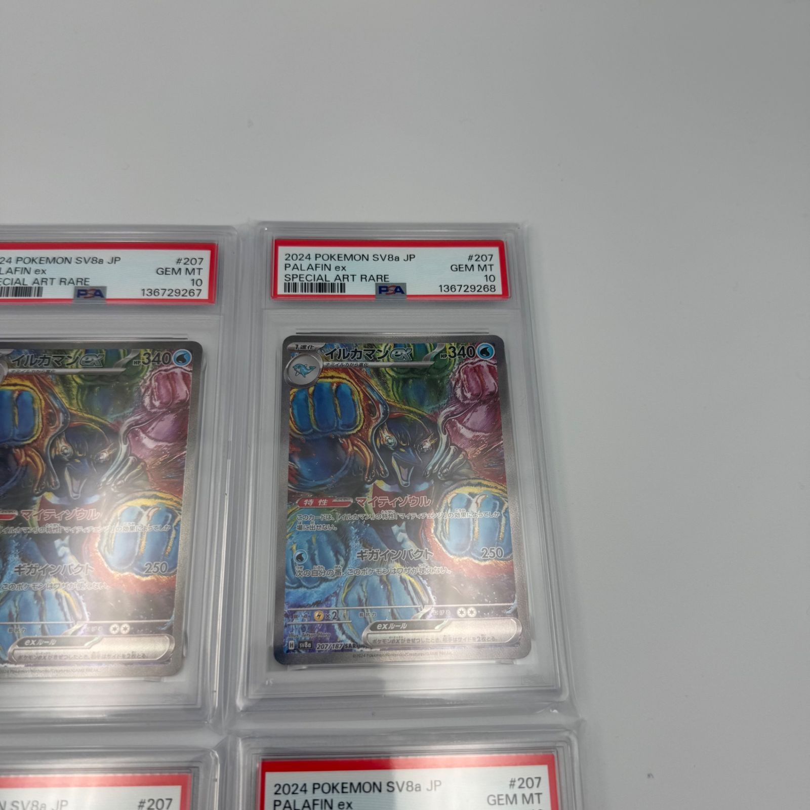 イルカマンex SAR