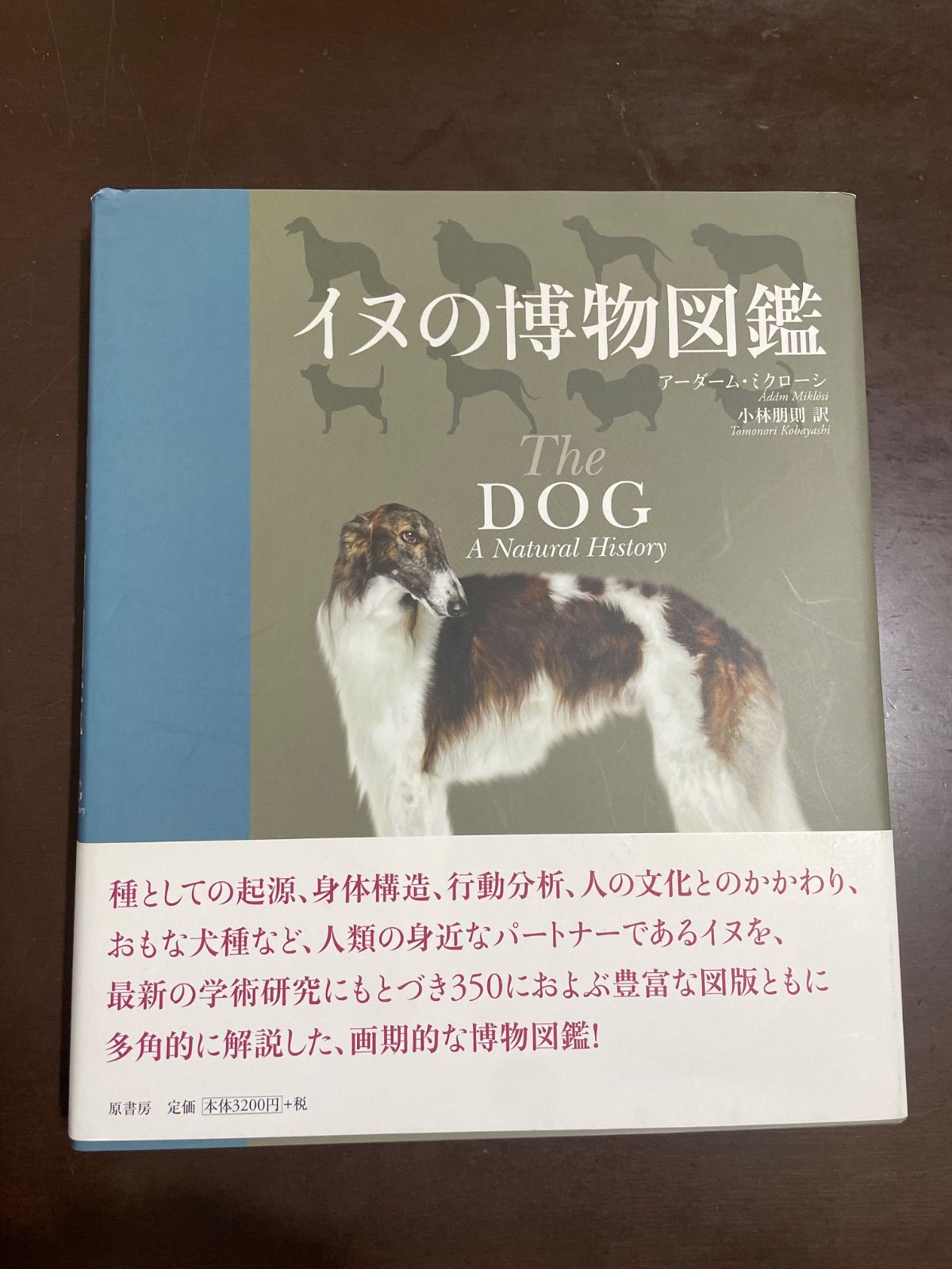 イヌの博物図鑑 | アーダーム・ミクローシ, 小林 朋則 【公式通販】
