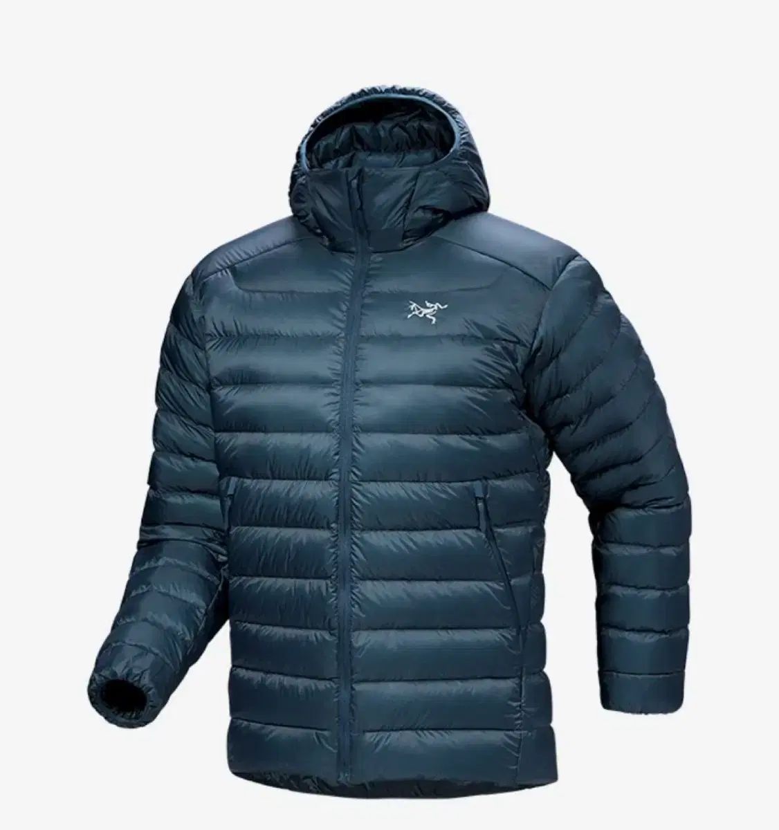 ARC TERYX アークテリクス フーディ セリウム NIGHT スケープ M