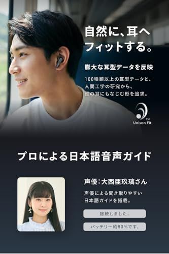 アクティブノイズキャンセリング カナル型