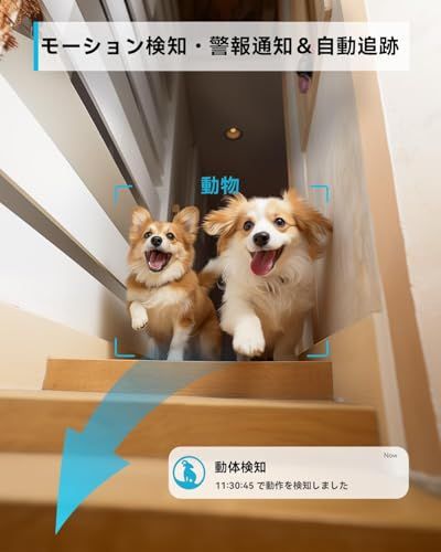 サウンド モーション検知