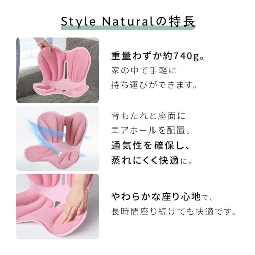 ストア スタイル ナチュラル Style Natural ガイドブック付き 骨盤サポートチェア 座椅子 彡 9582 d 6 f 3