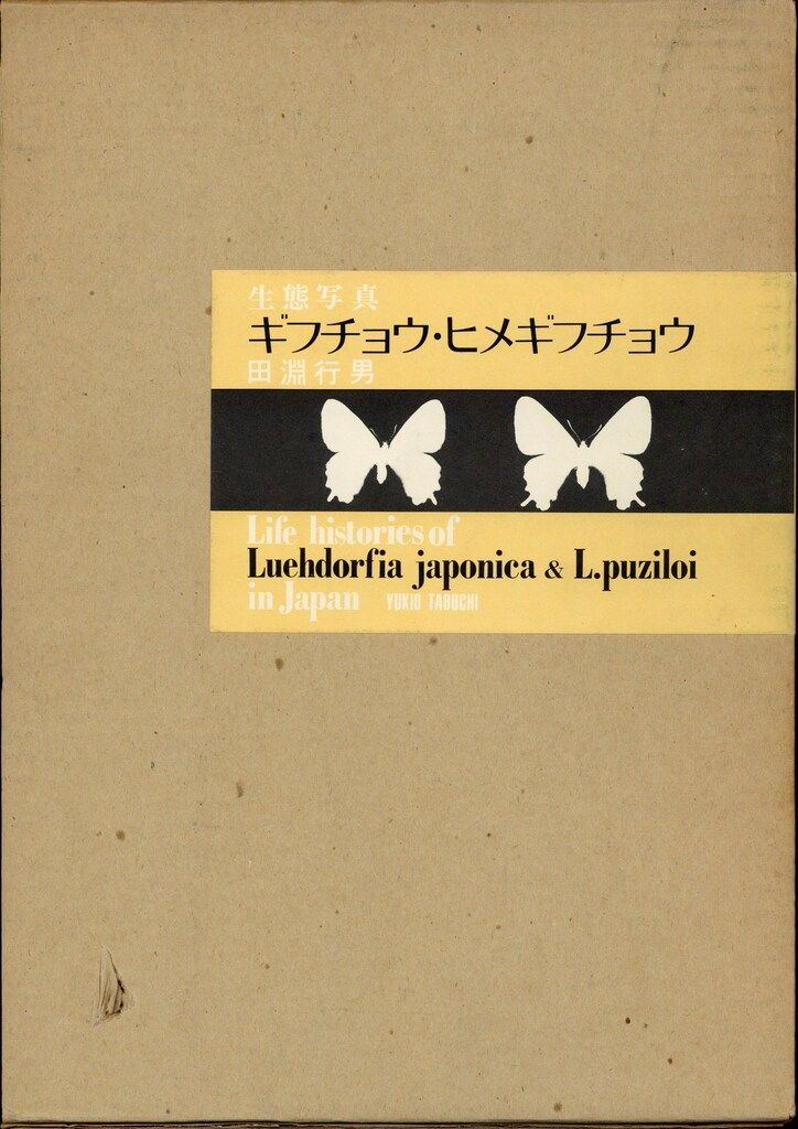 サイン入り 田淵行男 生態写真ギフチョウ・ヒメギフチョウ 函入 - メルカリ