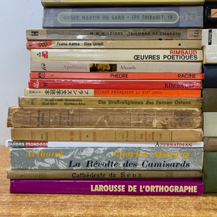 □01)【1点限り!】フランス語 洋書 まとめ売り約30冊大量セット/本