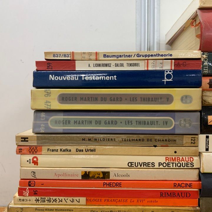 □01)【1点限り!】フランス語 洋書 まとめ売り約30冊大量セット/本