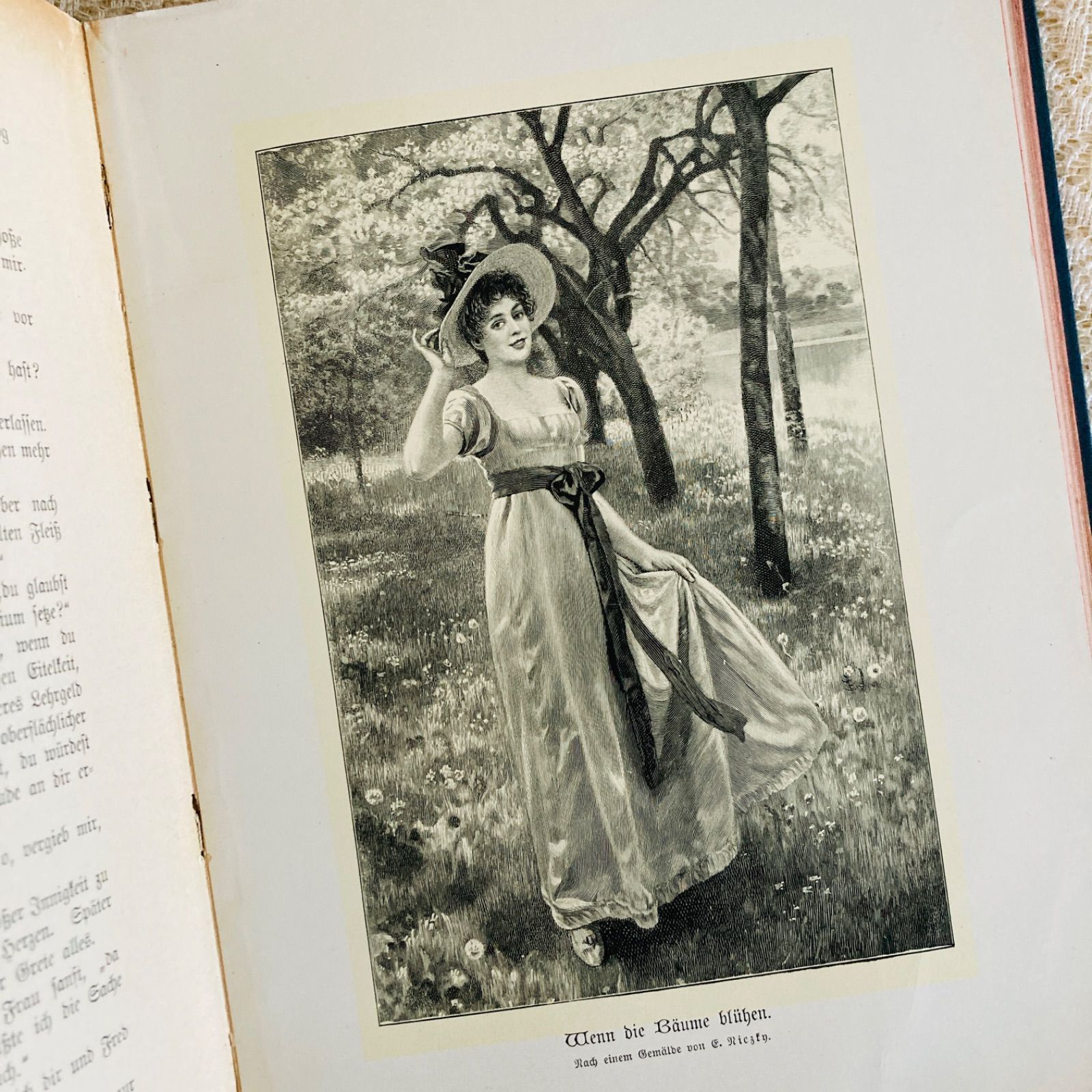 美しい花装丁のアンティークブック 1897年頃刊行 ドイツ古書