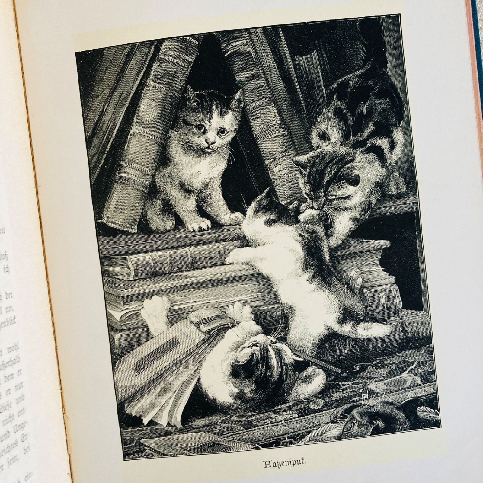 美しい花装丁のアンティークブック 1897年頃刊行 ドイツ古書