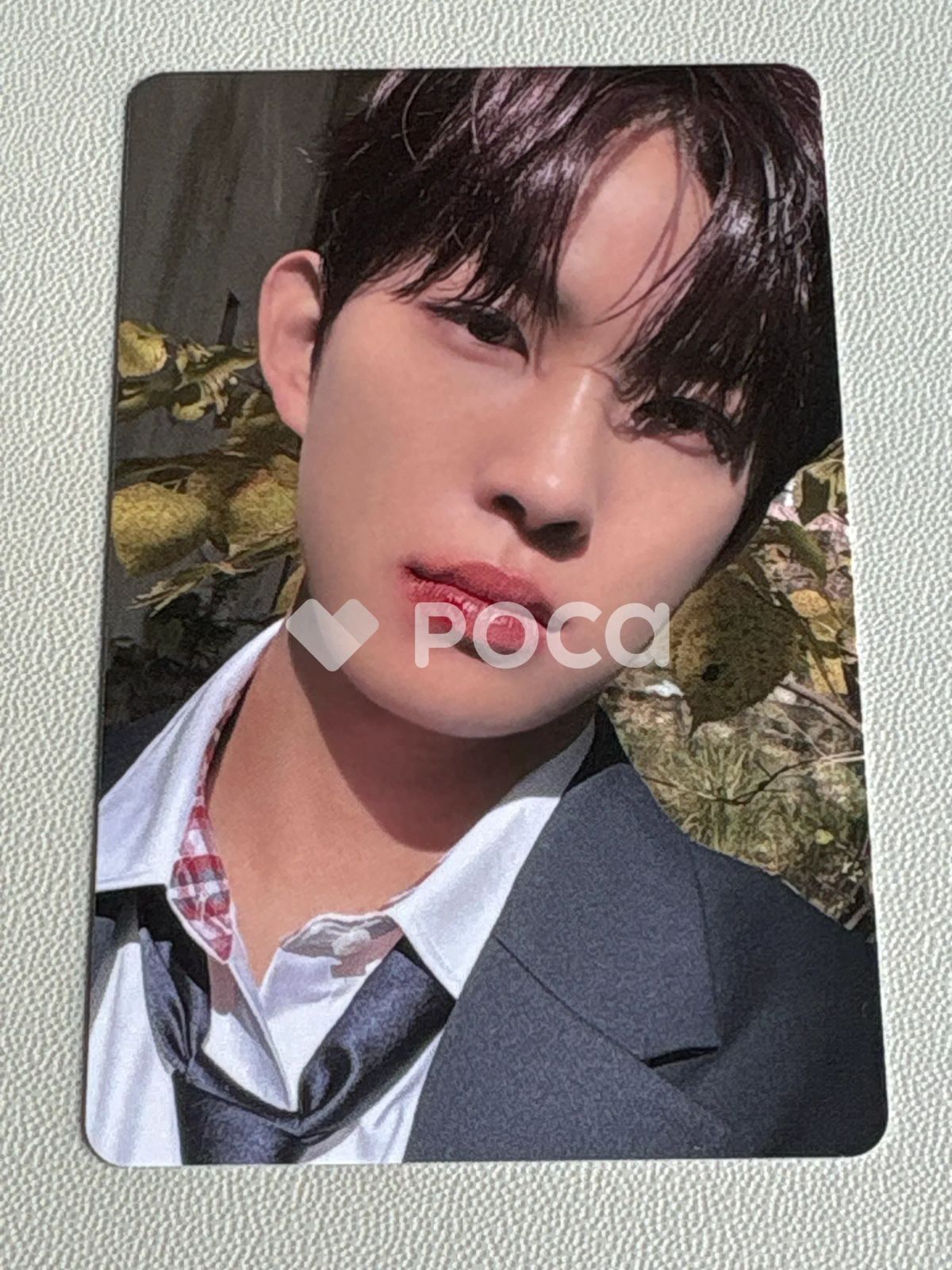 ALPHA DRIVE ONE 건우 EUPHORIA STAR ROAD ver Plus Chat Shop