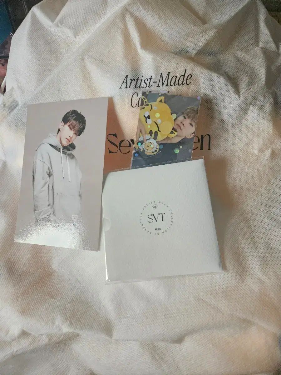 SEVENTEEN セブンティーン セブチ ホシ HOSHI Artist アーティストメイド 탐탐이 タムタムイ ぬいぐるみ フルセット