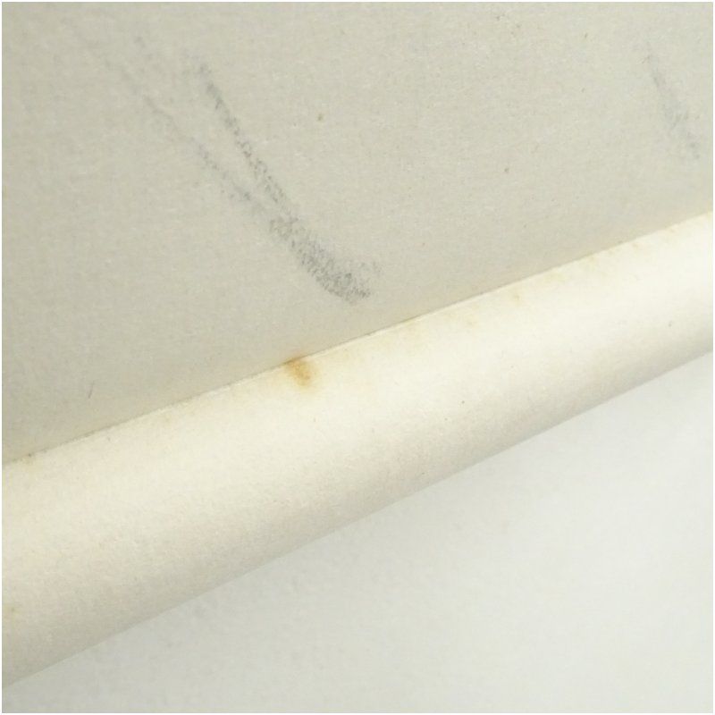 山本大慈筆 海老 肉筆紙本掛軸 掛け軸 床の間 書 おしゃれ 絵画 表具