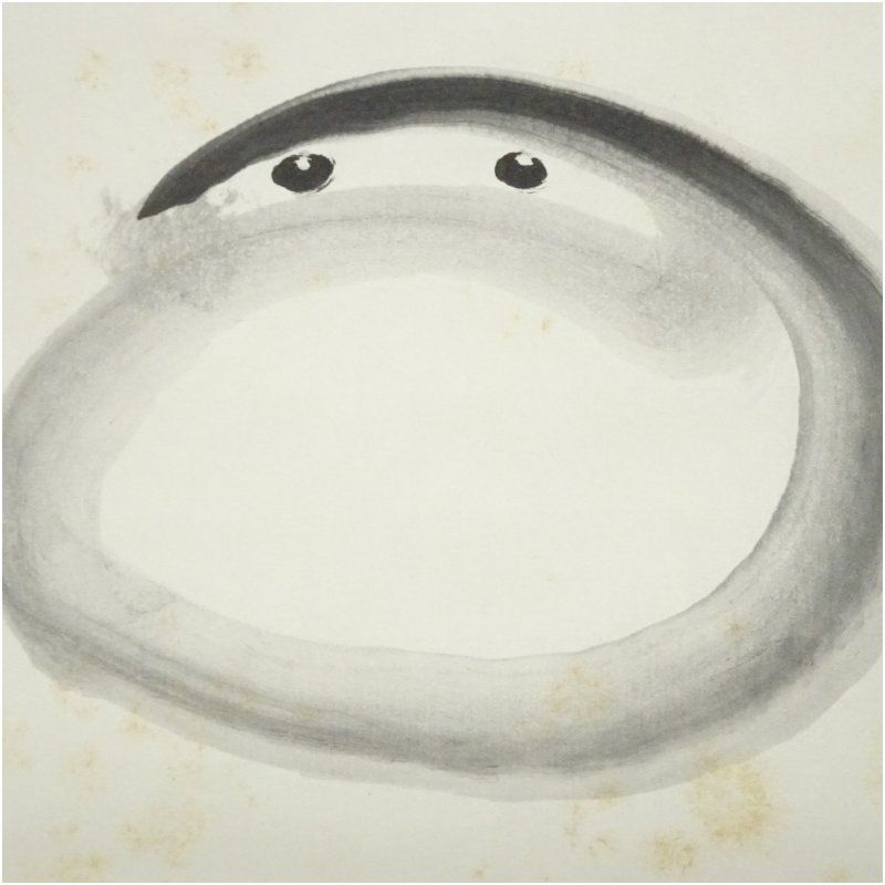 大徳寺 方谷浩明筆 「観自在」達磨画賛 肉筆紙本掛軸（共箱） 掛け軸