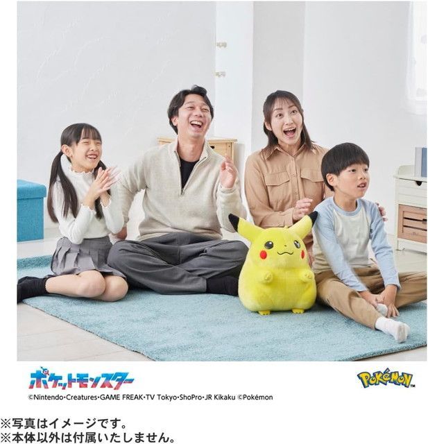 新品 ポケットモンスター ポケモン30周年記念 おかえり!ピカチュウ1/1