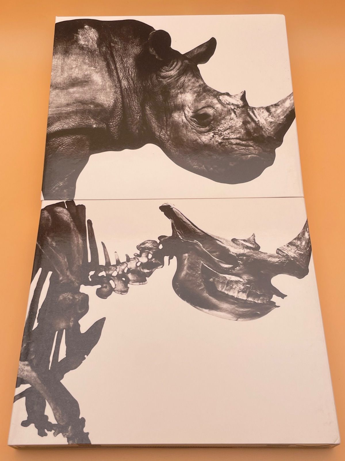 Mr.Children CD 2枚セット 骨 肉 1992-1995 1996-2000 ミスチル ベスト