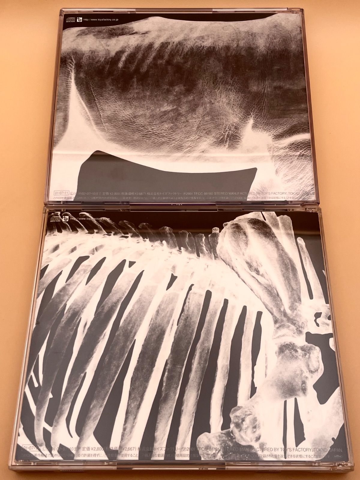 ミスチル、Mr.Children、ベスト肉骨ポスター ミスチル、Mr.Children