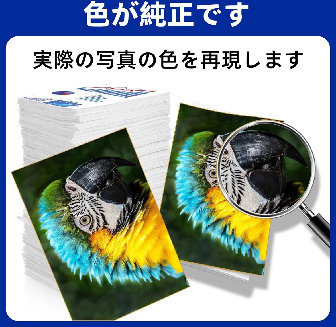 ブラック約 カラー約