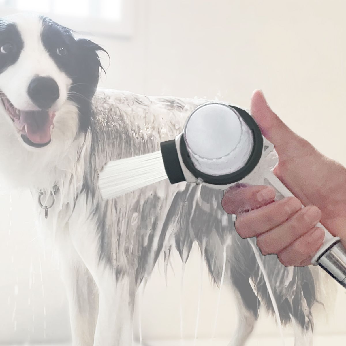 ペット用 シャワーヘッド シャワニー・カラー 【 Shawany Color 】 【トリマー推奨】犬 猫 シャワーヘッド 時短 大型犬 長毛種 泡立て 発泡洗浄 自宅でワンちゃん・ネコちゃんのシャンプーが片手で簡単！ 日本製（ブラック）