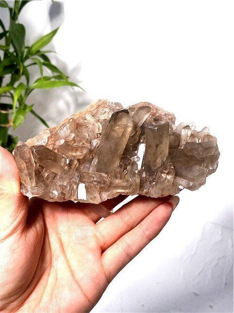 AAA級天然スモーキークォーツクラスターYT7C6/16C57D - メルカリ