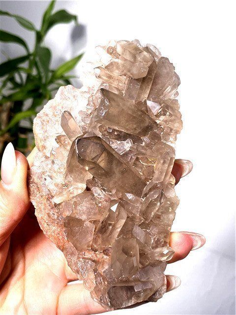 AAAAAA級金運UP天然スモーキークォーツクラスターB1216/YS/199C AAA級天然スモーキークォーツクラスターYT7C6/16C57D - メルカリ