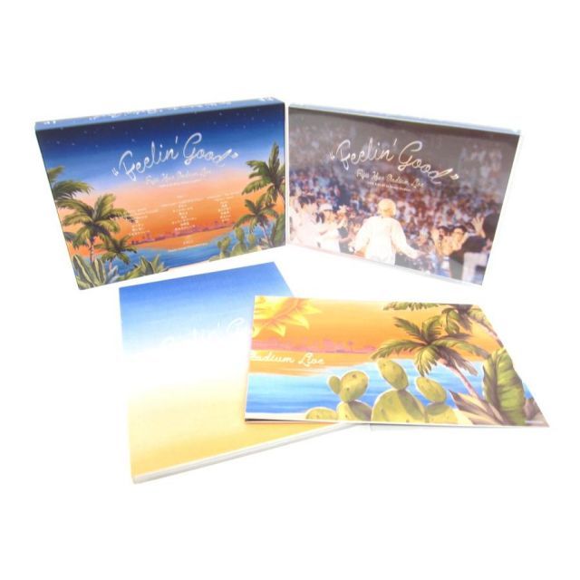 Fujii Kaze Stadium Live 