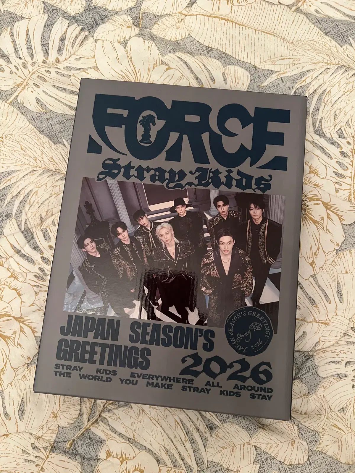 Stray Kids ストレイキッズ スキズ SKZ 2026 シーグリ バンチャン BANG CHAN アイエン I N ジョンイン 特典 トレカ