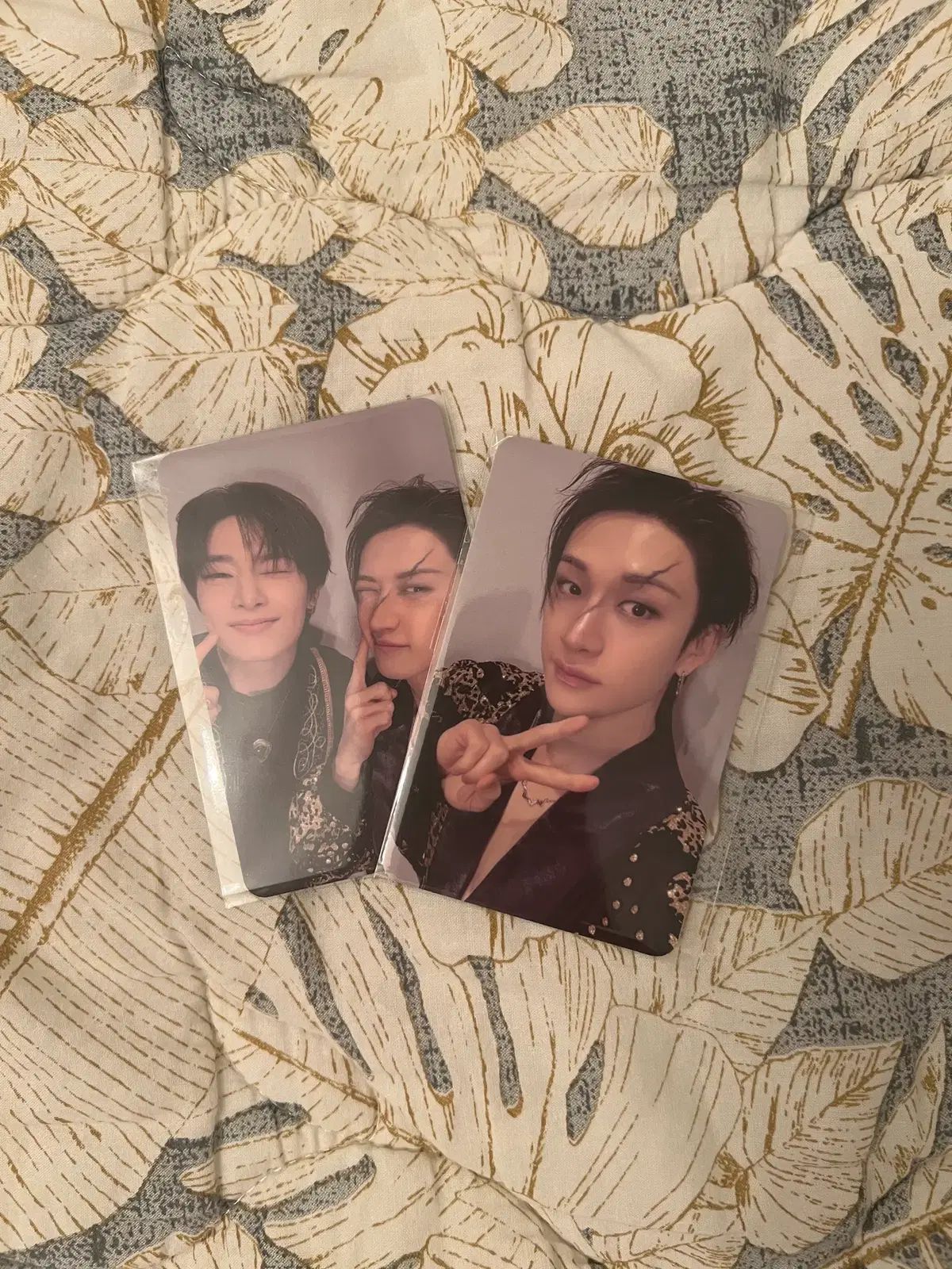  Stray Kids ストレイキッズ スキズ SKZ 2026 シーグリ バンチャン BANG CHAN アイエン I N ジョンイン 特典 トレカ その他 タレントグッズ