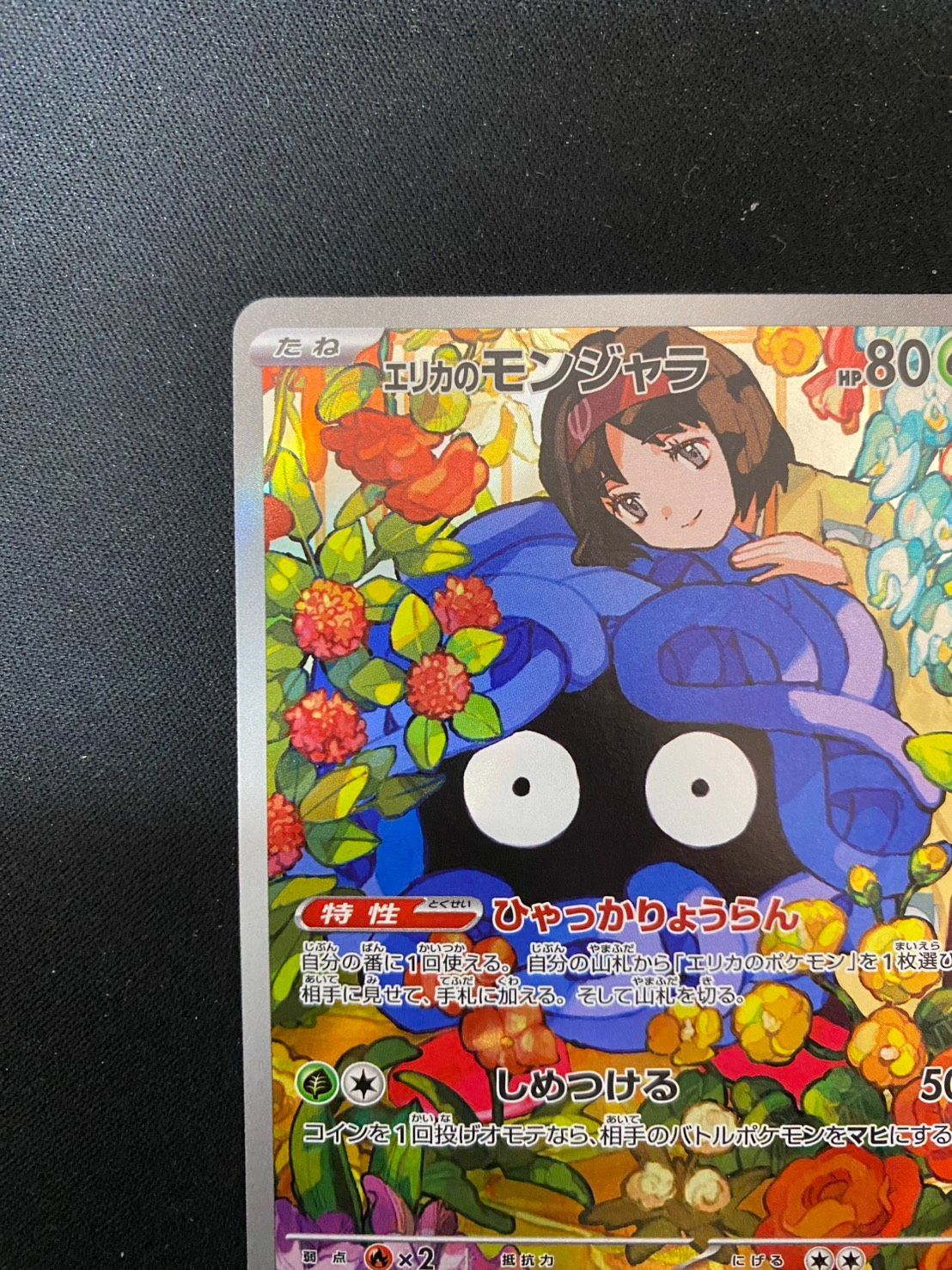 状態A-〕エリカのモンジャラ(AR仕様)【-】{743/742} [[状態A-]MC