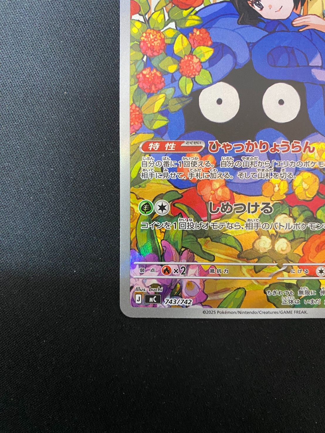 状態A-〕エリカのモンジャラ(AR仕様)【-】{743/742} [[状態A-]MC