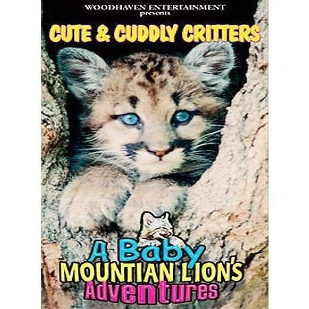 Baby Mountain Lion s Adventure DVD 品