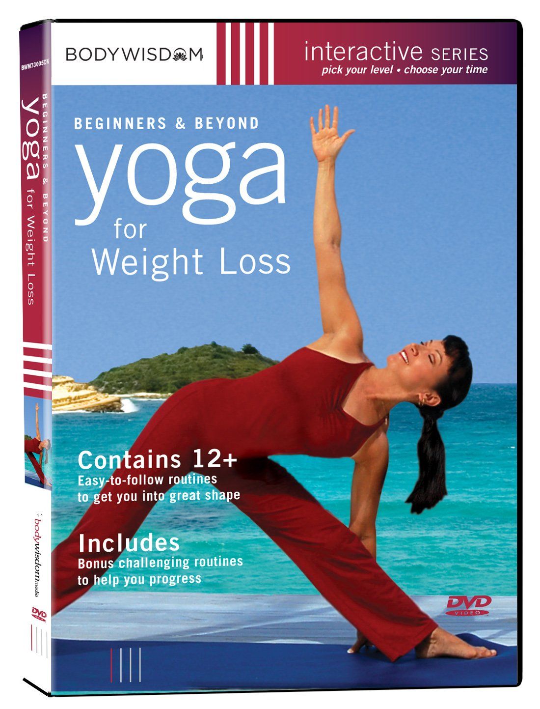 Beginners Beyond Yoga for Weight Loss DVD Import 品