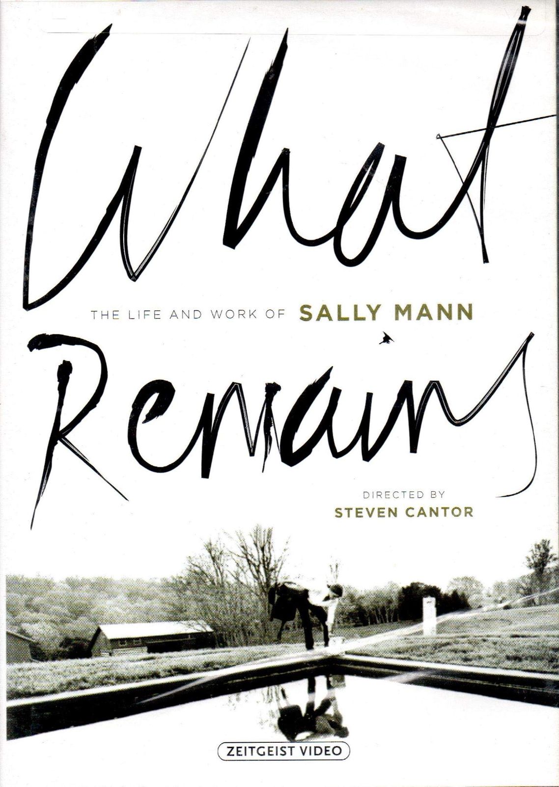 What Remains The Life Work of Sally Mann Ws 品