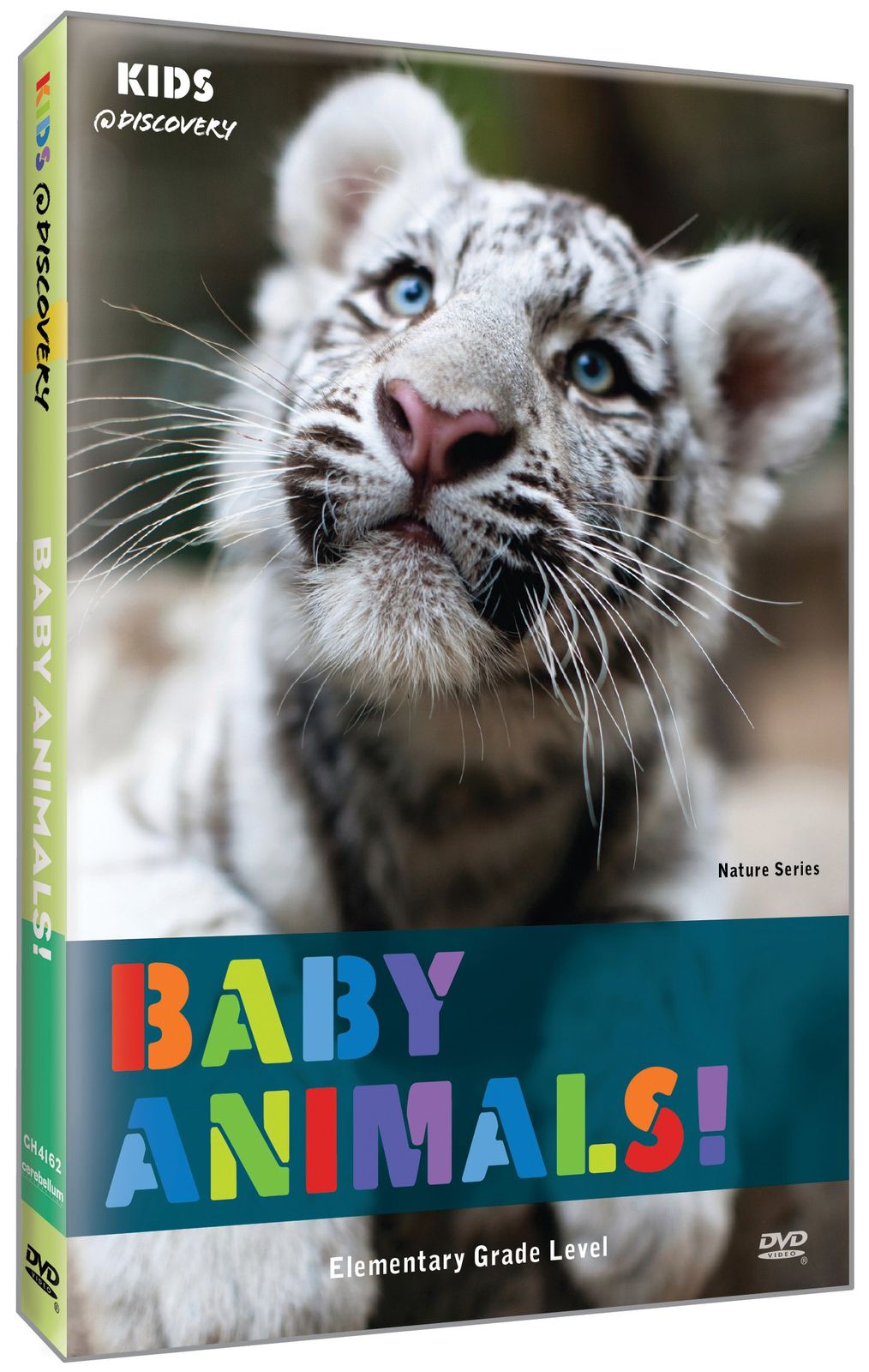 Baby Animals DVD 品