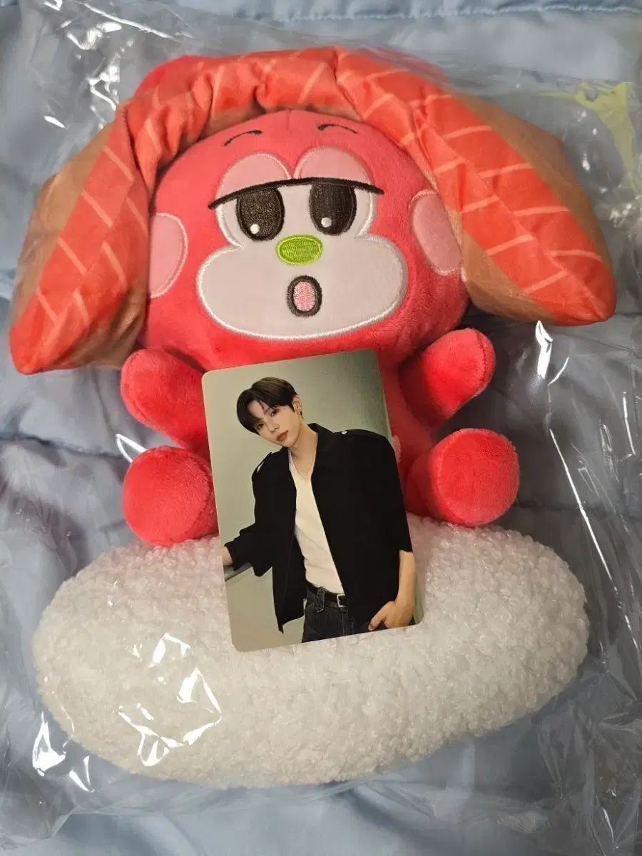 RIIZE（ライズ）日本 RIIZE（ライズ）市 ポップアップ ぬいぐるみ