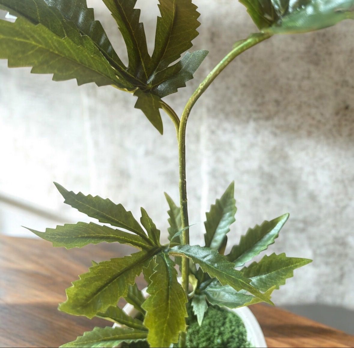 光触媒 フェイクグリーン マリファナ 人工観葉植物 大麻 CBD#3618